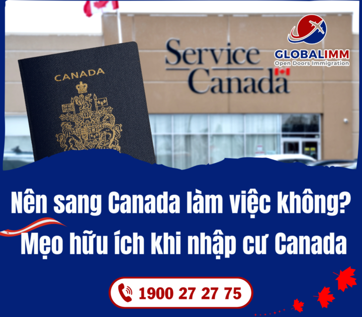 có nên sang Canada làm việc
